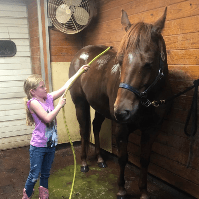 STABLES ACTIVITIES
